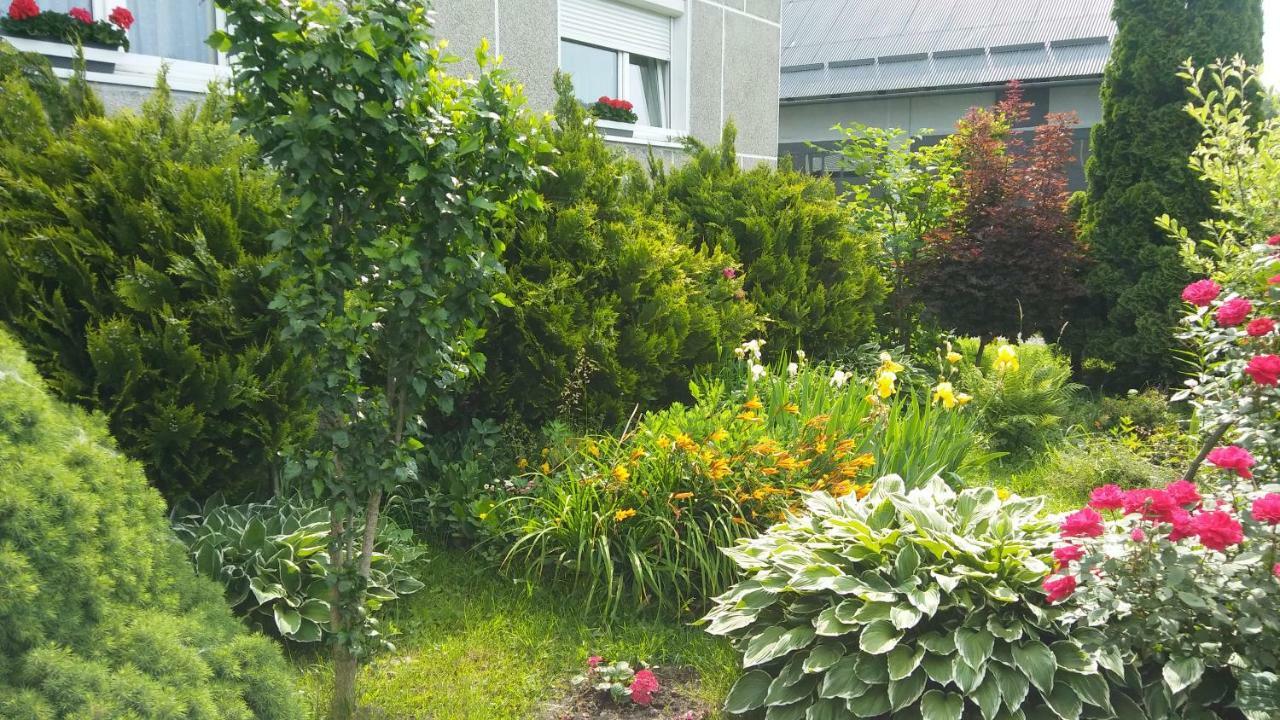 Apartament Jutrzenka Spytkowice  外观 照片